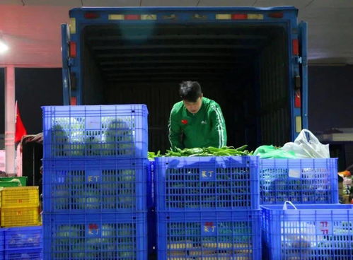 菜丁樂昌農產品交易中心 大型農副產品批發市場火爆招商，助力初級農產品流通